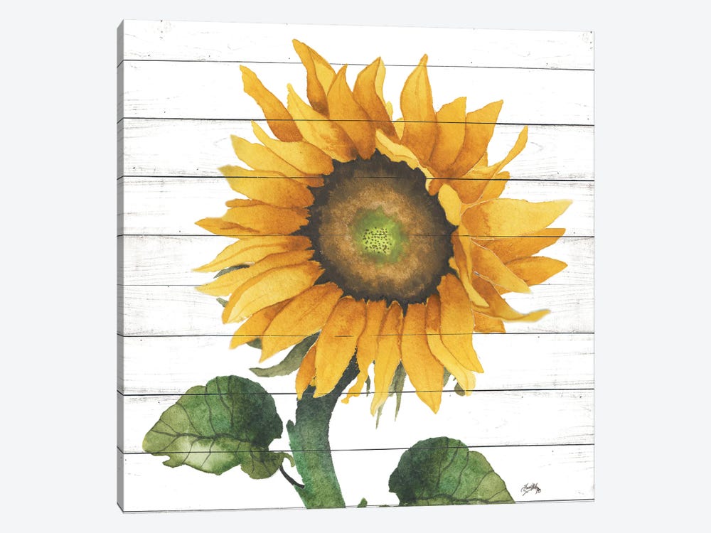 Happy Sunflower II by Elizabeth Medley 1-piece Canvas Artwork