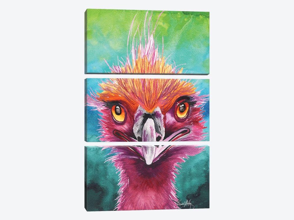 Emus of a Feather by Elizabeth Medley 3-piece Canvas Art