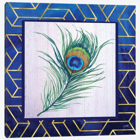 Peacock Feather I Canvas Print #EMD50} by Elizabeth Medley Canvas Art Print