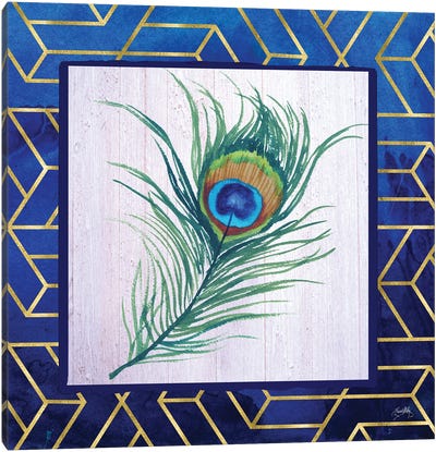 Peacock Feather I Canvas Art Print - Elizabeth Medley
