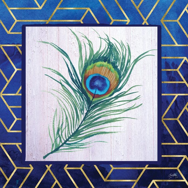 Feathers: Peacock Feather I by Elizabeth Medley