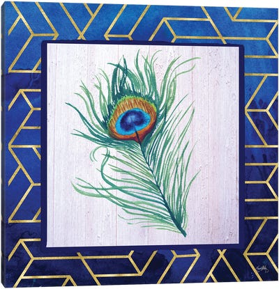 Peacock Feather II Canvas Art Print - Elizabeth Medley