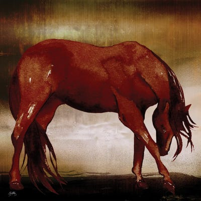 Red Horse I by Elizabeth Medley framed canvas print