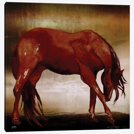 Red Horse I Canvas Print #EMD52} by Elizabeth Medley Art Print
