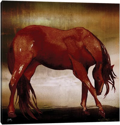 Red Horse I Canvas Art Print - Elizabeth Medley