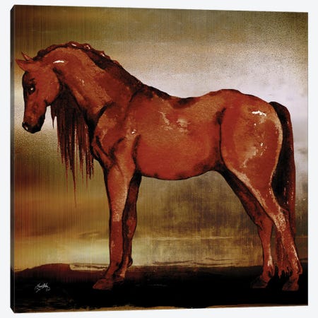 Red Horse II Canvas Print #EMD53} by Elizabeth Medley Art Print