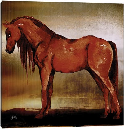 Red Horse II Canvas Art Print - Elizabeth Medley