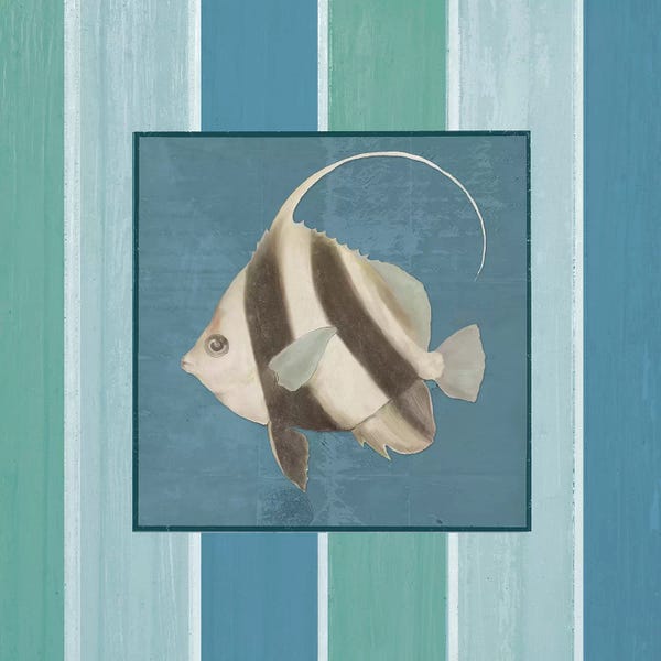 Angelfish: Fish on Stripes I by Elizabeth Medley