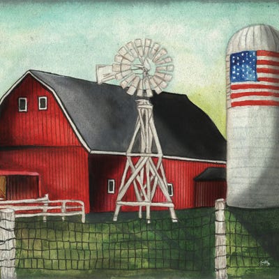 USA Silo by Elizabeth Medley framed wall art