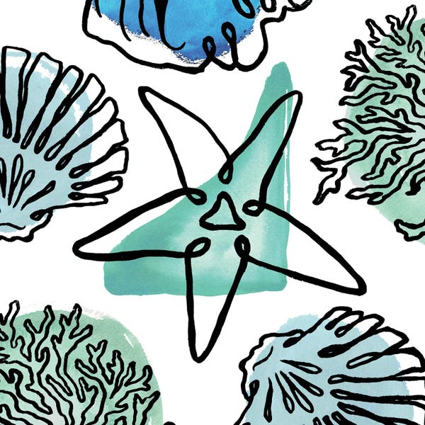 Coral: Coastal Contours Fusion II by Elizabeth Medley