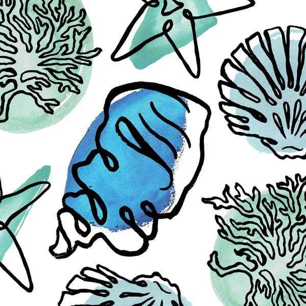 Coral: Coastal Contours Fusion III by Elizabeth Medley