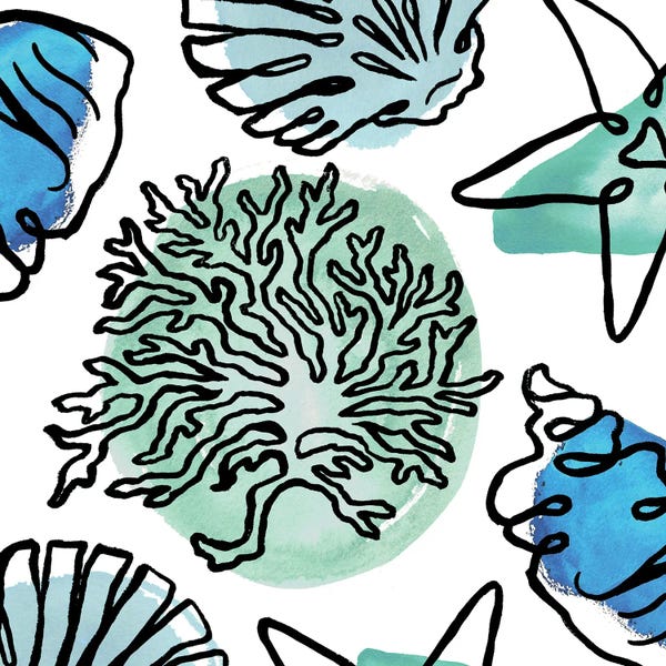 Coral: Coastal Contours Fusion IV by Elizabeth Medley