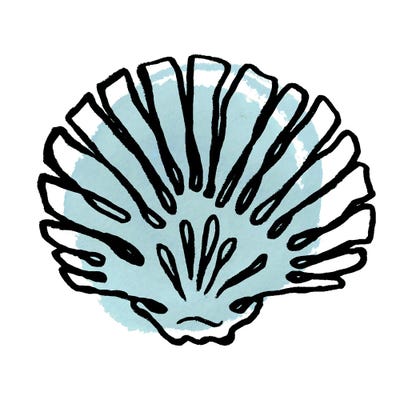 Coastal Contours I by Elizabeth Medley framed canvas print