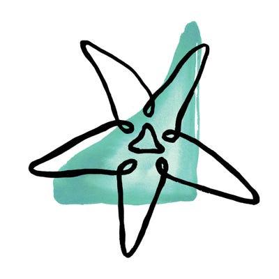 Coastal Contours II by Elizabeth Medley metal wall art