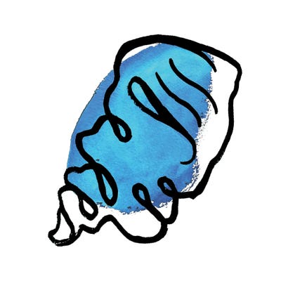 Coastal Contours III by Elizabeth Medley framed canvas print