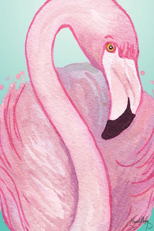 Flamingo Portrait