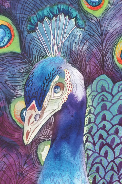 Hidden Peacock by Elizabeth Medley wall art