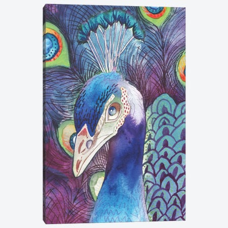 Hidden Peacock Canvas Print #EMD9} by Elizabeth Medley Canvas Artwork