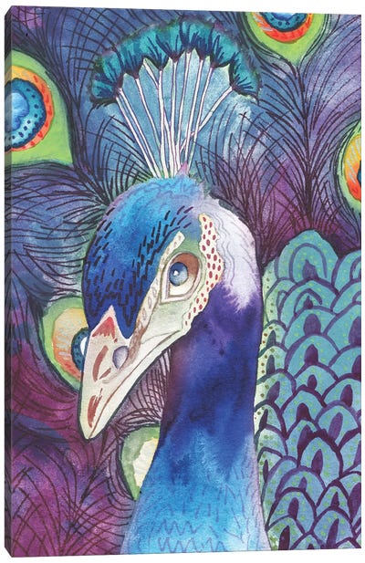 Hidden Peacock Canvas Art Print - Elizabeth Medley