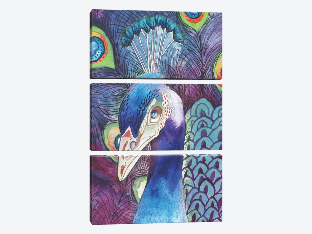 Hidden Peacock by Elizabeth Medley 3-piece Canvas Print