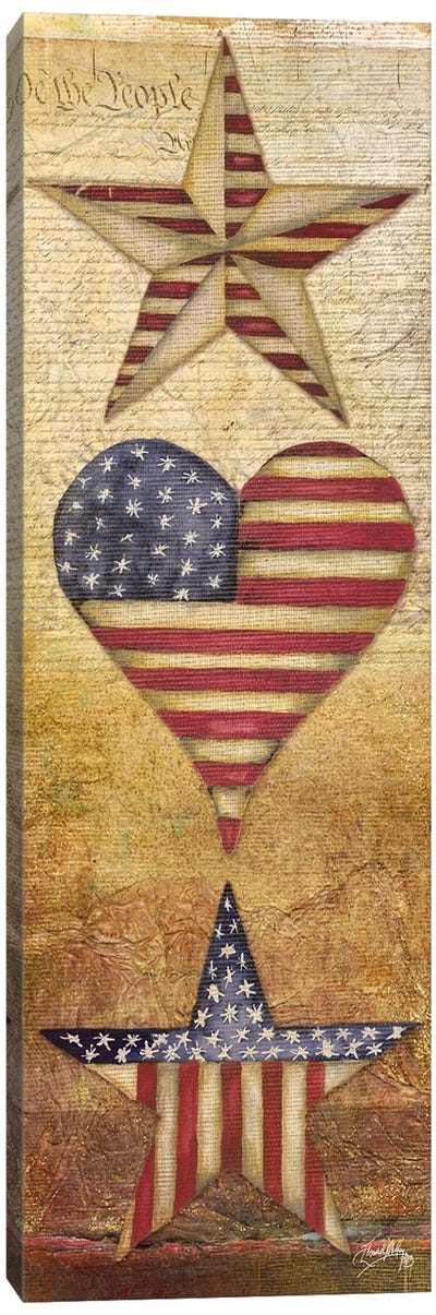 America Stars I Canvas Art Print - Elizabeth Medley