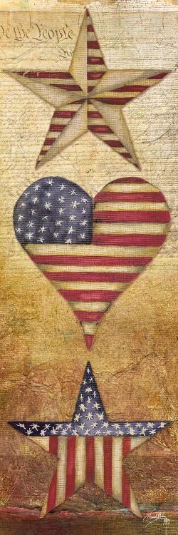America Stars I by Elizabeth Medley wall art