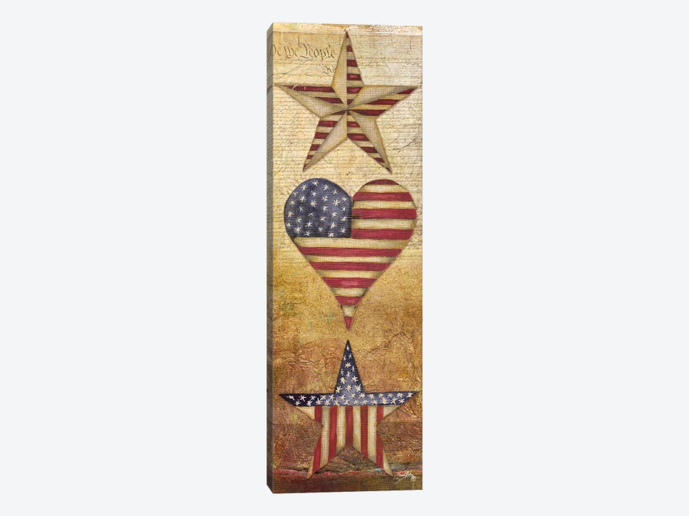 America Stars I by Elizabeth Medley 1-piece Canvas Wall Art