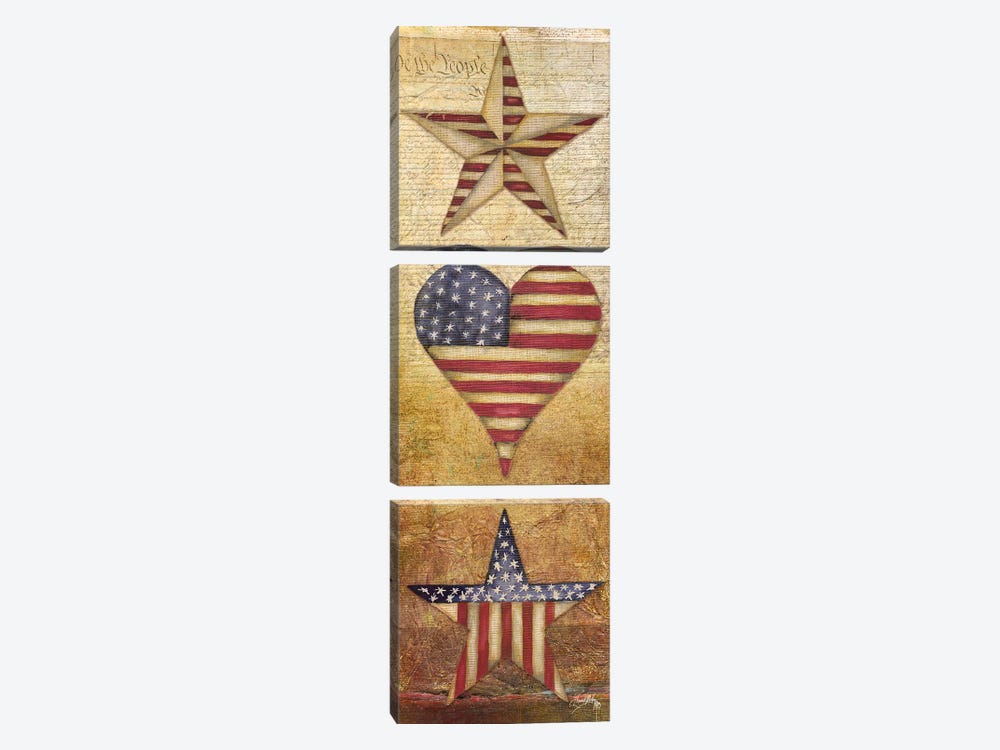 America Stars I by Elizabeth Medley 3-piece Canvas Wall Art