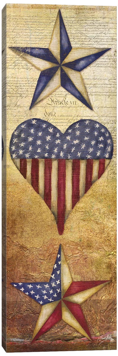America Stars II Canvas Art Print - Elizabeth Medley
