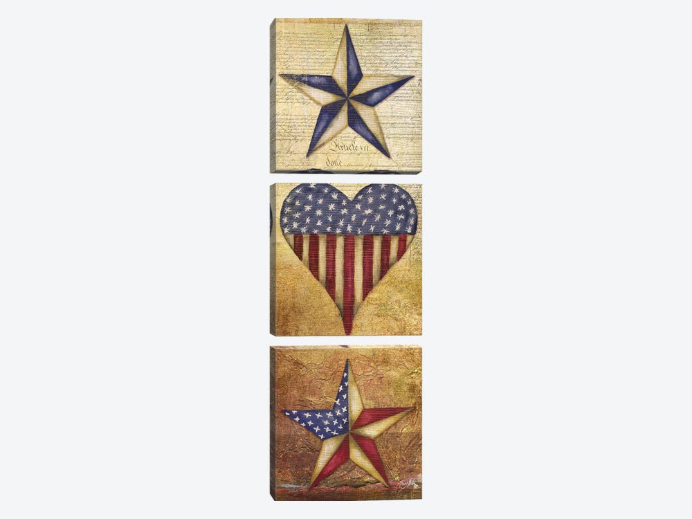 America Stars II by Elizabeth Medley 3-piece Art Print