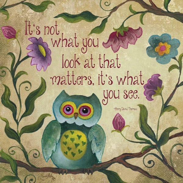Elizabeth Medley: I Owl You I by Elizabeth Medley