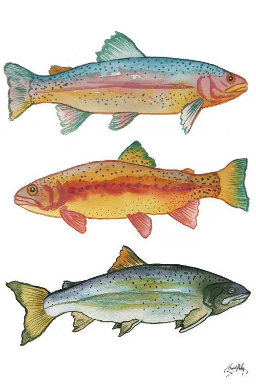 Lake Fishing by Elizabeth Medley wall art