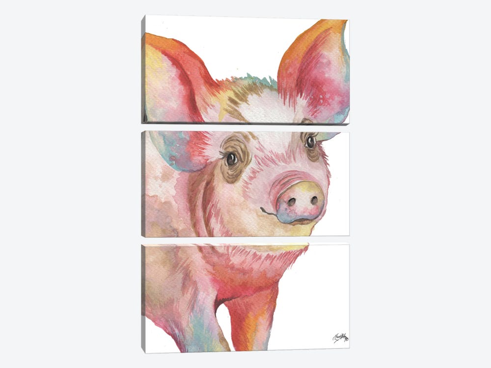 Pig I by Elizabeth Medley 3-piece Canvas Print
