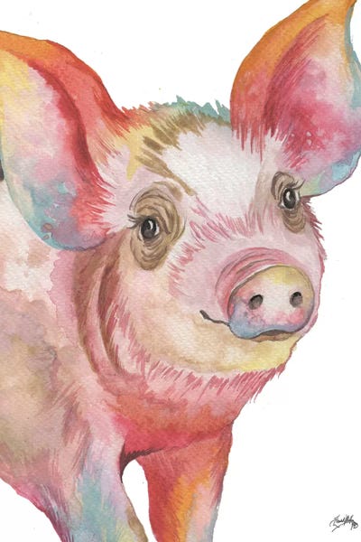Pigs: Pig I by Elizabeth Medley