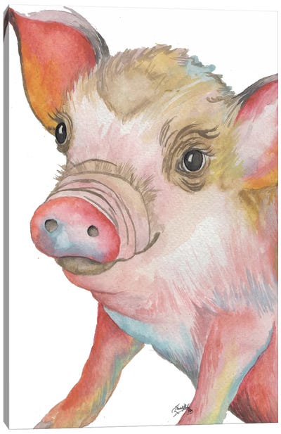 Pig II Canvas Art Print - Elizabeth Medley