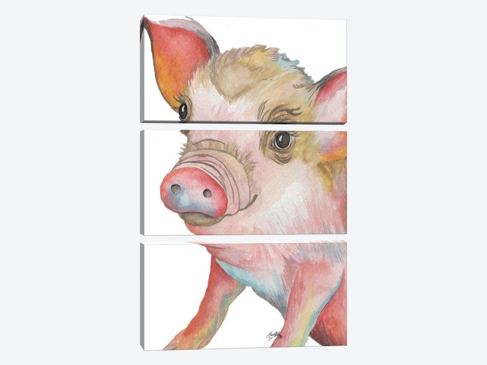 Pig II by Elizabeth Medley 3-piece Canvas Art Print