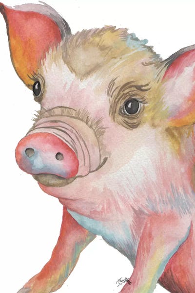 Pigs: Pig II by Elizabeth Medley