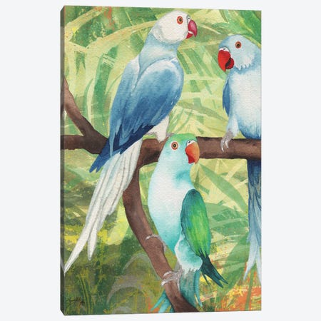 Tropical Birds I Canvas Print #EME171} by Elizabeth Medley Canvas Art Print
