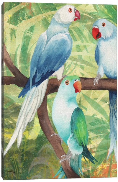Tropical Birds I Canvas Art Print - Elizabeth Medley