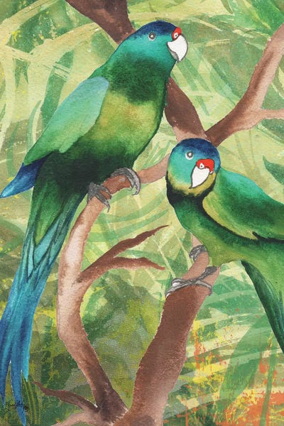 Tropical Birds II by Elizabeth Medley canvas print