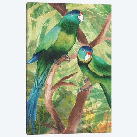 Tropical Birds II Canvas Print #EME172} by Elizabeth Medley Canvas Print