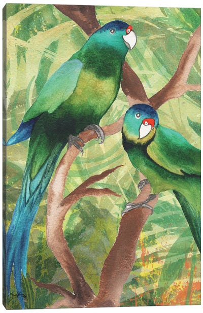 Tropical Birds II Canvas Art Print