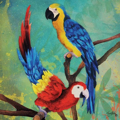 Tropical Birds in Love II by Elizabeth Medley canvas print