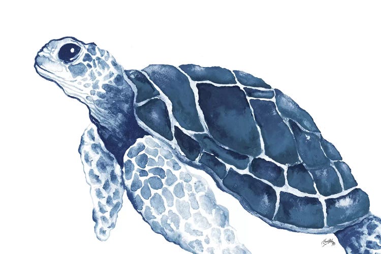 Turtle in the Blues by Elizabeth Medley wall art