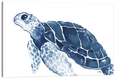 Turtle in the Blues Canvas Art Print - Reptile & Amphibian Art