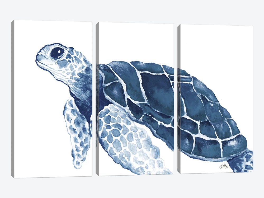 Turtle in the Blues by Elizabeth Medley 3-piece Canvas Art