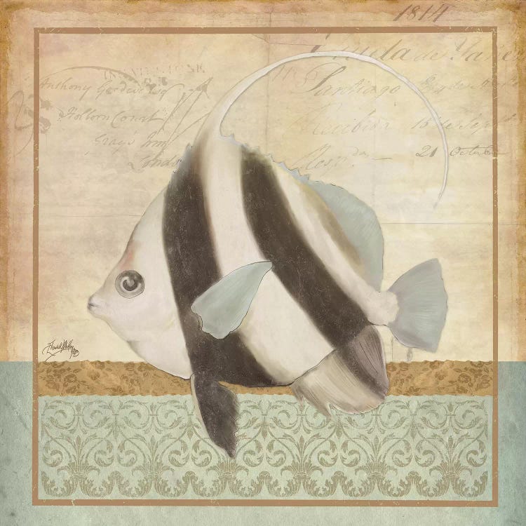 Vintage Fish I by Elizabeth Medley wall art