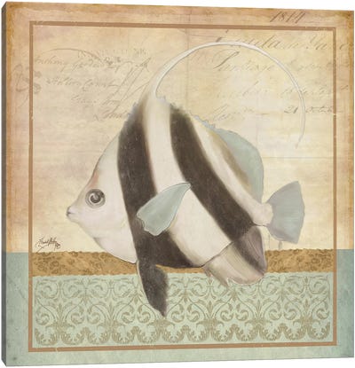 Vintage Fish I Canvas Art Print - Elizabeth Medley