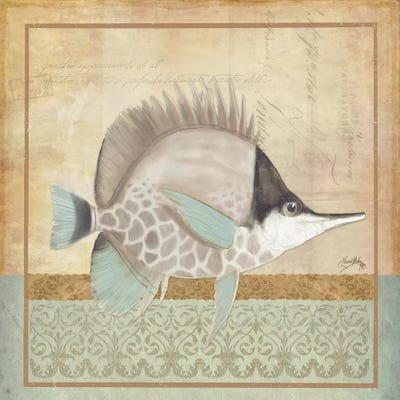 Vintage Fish IV by Elizabeth Medley framed canvas print