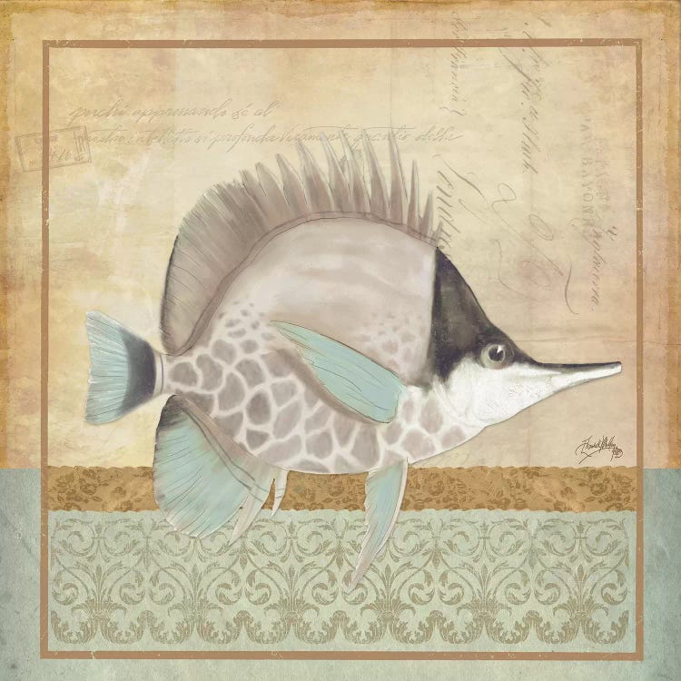 Vintage Fish IV by Elizabeth Medley wall art